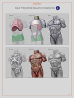 Load image into Gallery viewer, Anatomy For Sculptors, Understanding the Human Figure