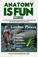 Load image into Gallery viewer, Anatomy is Fun Part 1 & 2