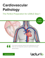 Load image into Gallery viewer, Cardiovascular Pathology The Perfect Preparation for USMLE Step 1 2019 Lecturio