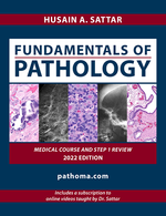 Load image into Gallery viewer, Fundamentals of Pathology Pathoma by Husain A Sattar