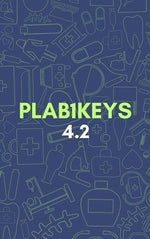 Load image into Gallery viewer, Plab1Keys 2023 Edition