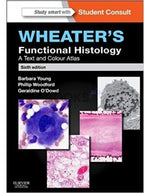 Load image into Gallery viewer, Wheater&#8217;s Functional Histology 6th Edition
