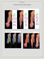 Load image into Gallery viewer, Anatomy For Sculptors, Understanding the Human Figure
