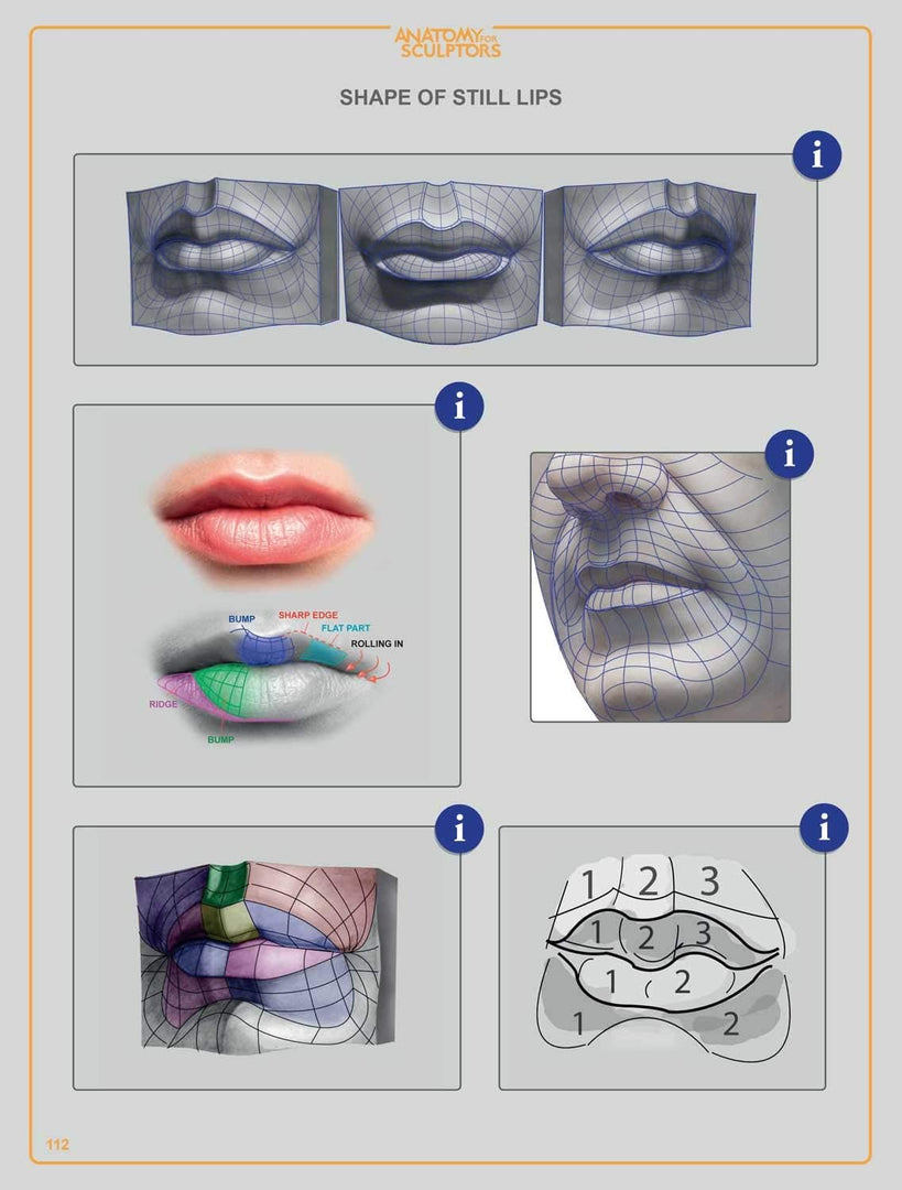 Anatomy For Sculptors, Understanding the Human Figure