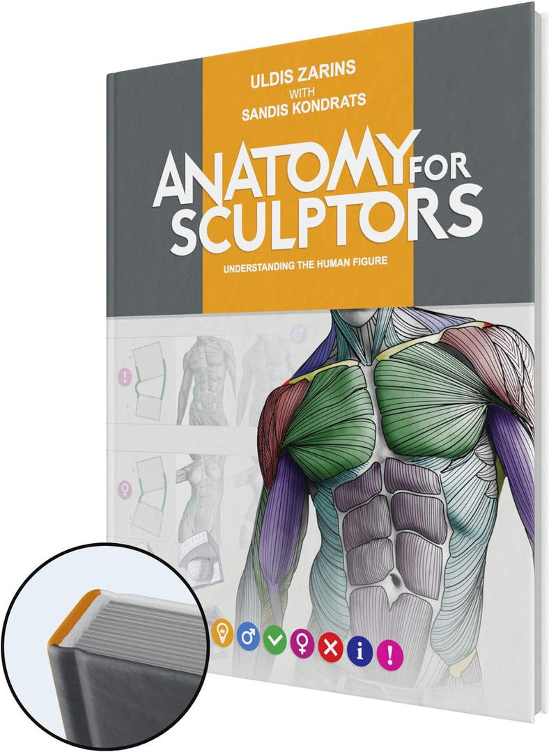 Anatomy For Sculptors, Understanding the Human Figure