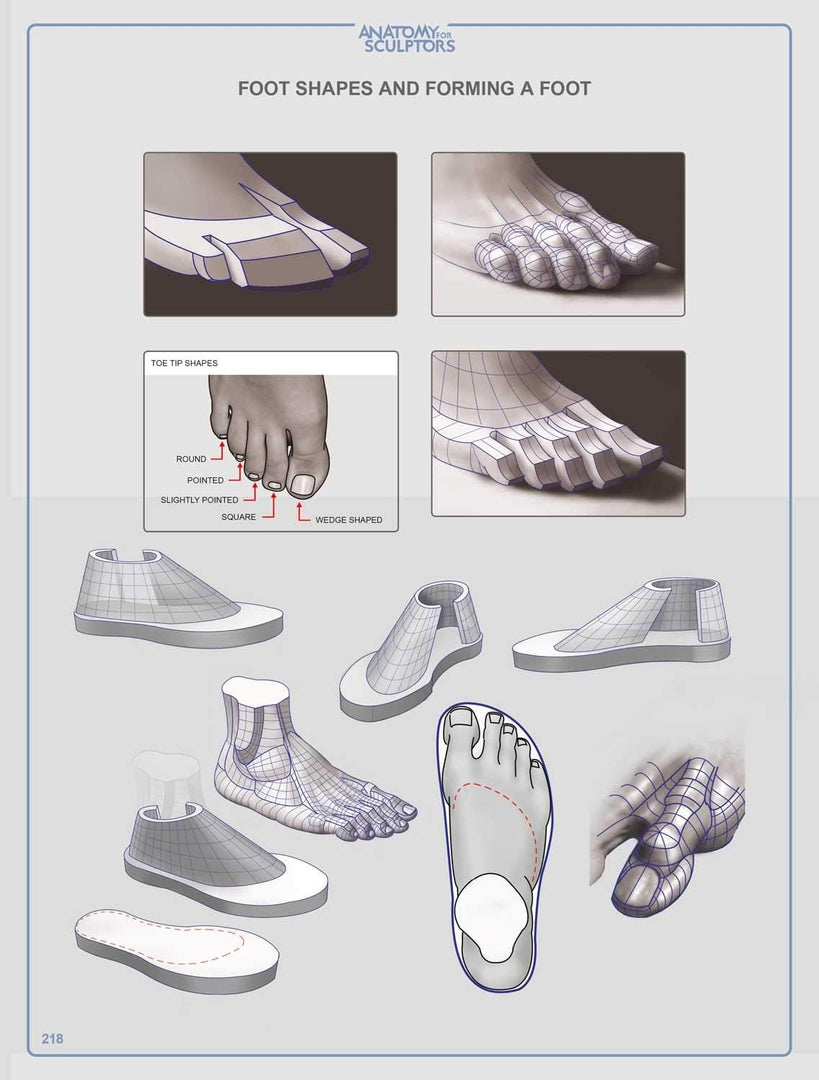 Anatomy For Sculptors, Understanding the Human Figure