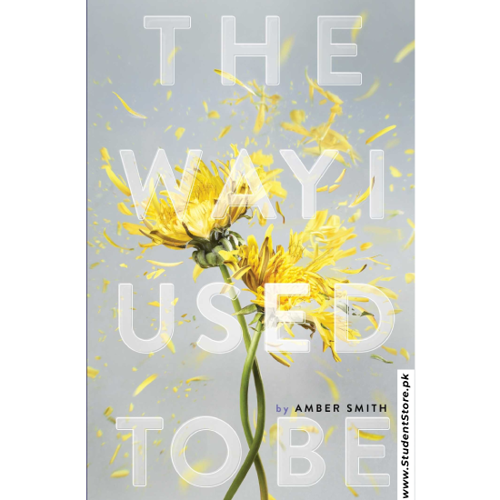 The Way I Used to Be by Amber Smith