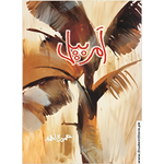 Load image into Gallery viewer, Amarbel / امربیل by Umera Ahmed
