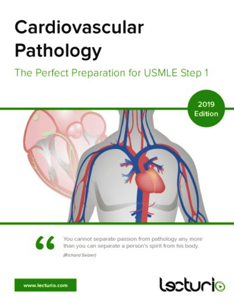 Cardiovascular Pathology The Perfect Preparation for USMLE Step 1 2019 Lecturio