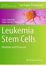 Load image into Gallery viewer, Leukemia Stem Cells: Methods and Protocols (Methods in Molecular Biology, 2185) 1st ed. 2021 Edition