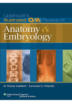 Load image into Gallery viewer, Lippincott&#39;s Illustrated Q&amp;A Review of Anatomy and Embryology (Lippincott Illustrated Reviews Series) Illustrated Edition
