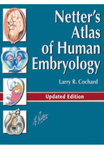 Load image into Gallery viewer, Netter&#39;s Atlas of Human Embryology 1st Edition
