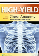 Load image into Gallery viewer, High-Yield Gross Anatomy
